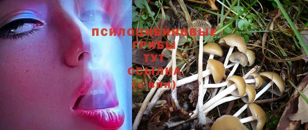первитин Семилуки